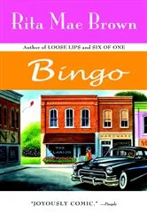 Book cover of Bingo by Maggie Testa