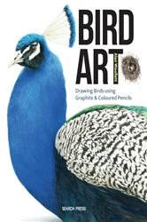 Book cover of Bird Art by Alan Woollett