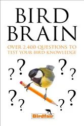 Book cover of Bird Brain by Joanne Levy