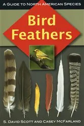 Book cover of Bird Feathers by S. David Scott