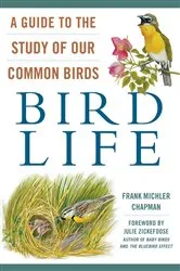 Book cover of Bird Life by Anna Smaill