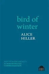 Book cover of bird of winter by Alice Hiller