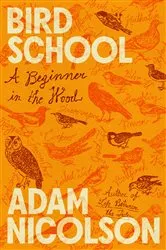 Book cover of Bird School by Unknown