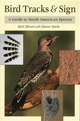 Book cover of Bird Tracks & Sign by Mark Elbroch