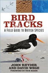 Book cover of Bird Tracks by Unknown