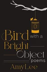 Book cover of Bird with a Bright Object by AmyLee