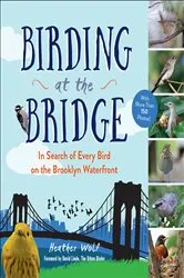 Book cover of Birding at the Bridge by Heather Wolf