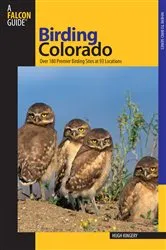 Book cover of Birding Colorado by Hugh Kingery