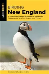 Book cover of Birding New England by Randi Minetor