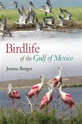 Book cover of Birdlife of the Gulf of Mexico by Joanna Burger
