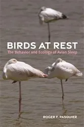 Book cover of Birds at Rest by Roger Pasquier