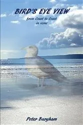 Book cover of Bird's Eye View by Unknown