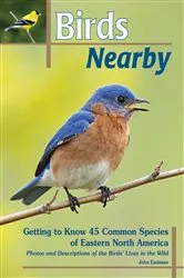 Book cover of Birds Nearby by John Eastman
