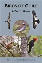 Book cover of Birds of Chile by Steve N. G. Howell