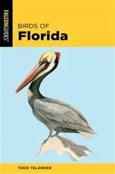 Book cover of Birds of Florida (2nd ed.) by Todd Telander
