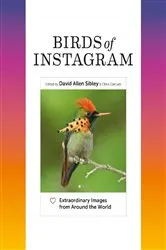 Book cover of Birds of Instagram by David Allen Sibley