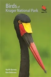 Book cover of Birds of Kruger National Park by Keith Barnes