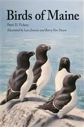 Book cover of Birds of Maine by Peter Vickery