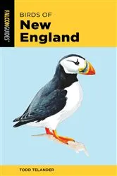 Book cover of Birds of New England (2nd ed.) by Todd Telander