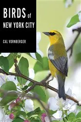 Book cover of Birds of New York City by Cal Vornberger