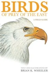 Book cover of Birds of Prey of the East by Brian K. Wheeler
