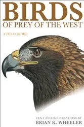 Book cover of Birds of Prey of the West by Brian K. Wheeler