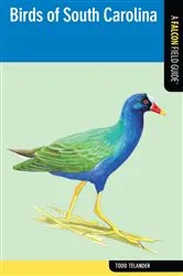 Book cover of Birds of South Carolina by Todd Telander