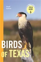 Book cover of Birds of Texas by David Sarkozi