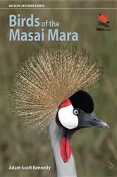 Book cover of Birds of the Masai Mara by Adam Scott Kennedy
