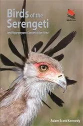 Book cover of Birds of the Serengeti by Adam Scott Kennedy