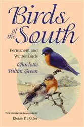 Book cover of Birds of the South by Charlotte Hilton Green