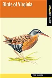 Book cover of Birds of Virginia by Todd Telander