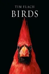 Book cover of Birds by Tim Flach