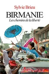 Book cover of Birmanie by Sylvie Brieu