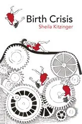 Book cover of Birth Crisis by Sheila Kitzinger
