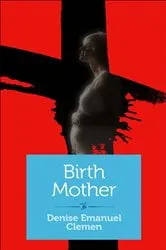 Book cover of Birth Mother by Denise Emanual Clemen