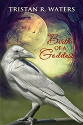 Book cover of Birth of a Goddess by Tristan R. Waters