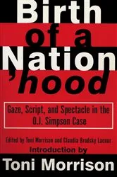 Book cover of Birth of a Nation'hood by Toni Morrison