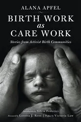 Book cover of Birth Work as Care Work by Alana Apfel
