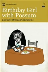 Book cover of Birthday Girl with Possum by Brendan Constantine