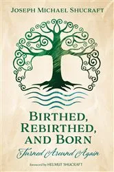 Book cover of Birthed, Rebirthed, and Born: Turned Around Again by Joseph Michael Shucraft
