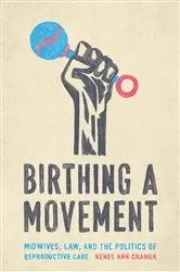 Book cover of Birthing a Movement by Renée Ann Cramer