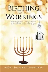 Book cover of Birthing to the Workings by Dr. Shirley Johnson