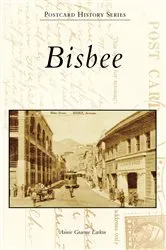 Book cover of Bisbee by Annie Graeme Larkin