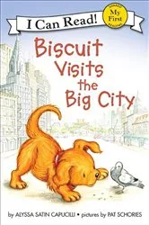 Book cover of Biscuit Visits the Big City by Alyssa Satin Capucilli