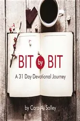 Book cover of Bit By Bit by Lynn Gordon