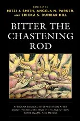Book cover of Bitter the Chastening Rod by Mitzi J. Smith