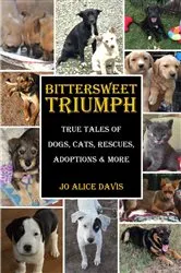 Book cover of BITTERSWEET TRIUMPH by JO ALICE DAVIS