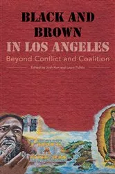 Book cover of Black and Brown in Los Angeles by Josh Kun