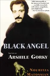 Book cover of Black Angel by Nouritza Matossian